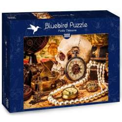 BLUEBIRD Puzzle Pirátský poklad 3000 dílků