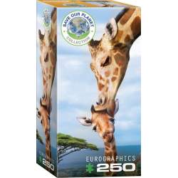EUROGRAPHICS Puzzle Žirafy XL 250 dílků