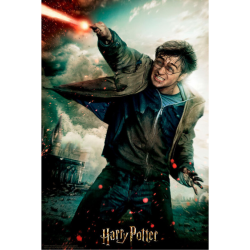 PRIME 3D Puzzle Harry Potter: Harry 3D 300 dílků