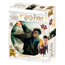 PRIME 3D Puzzle Harry Potter: Harry 3D 300 dílků 2
