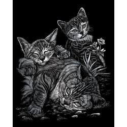 ROYAL & LANGNICKEL Stříbrný škrabací obrázek Kočky 2