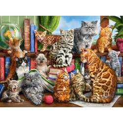 CASTORLAND Puzzle Kočičí dům 2000 dílků
