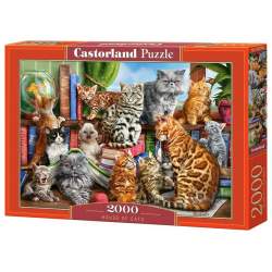 CASTORLAND Puzzle Kočičí dům 2000 dílků 2